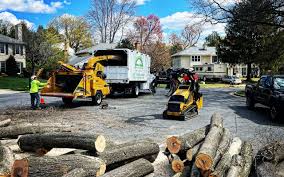 How Our Tree Care Process Works  in  Anson, TX